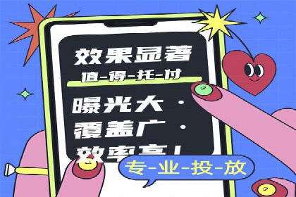 百度竞价托管案例解析